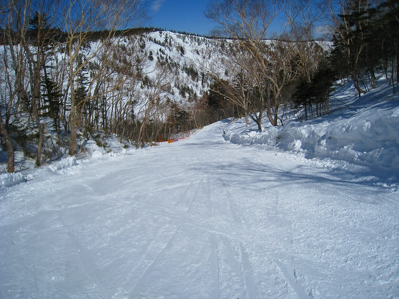 2/24今日のスキー場Scene_a0057828_16121565.jpg