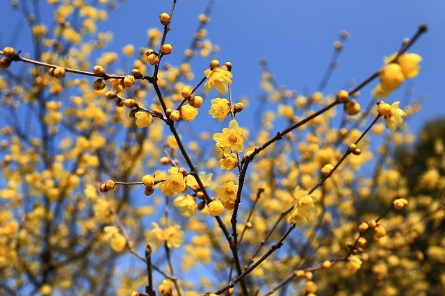 a0242438_20511194.jpg