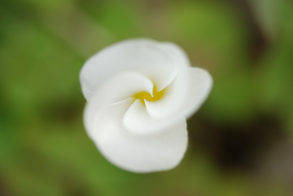 f0229844_20495733.jpg