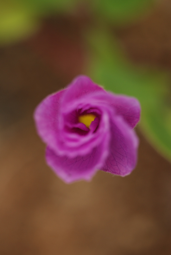 f0229844_2173946.jpg