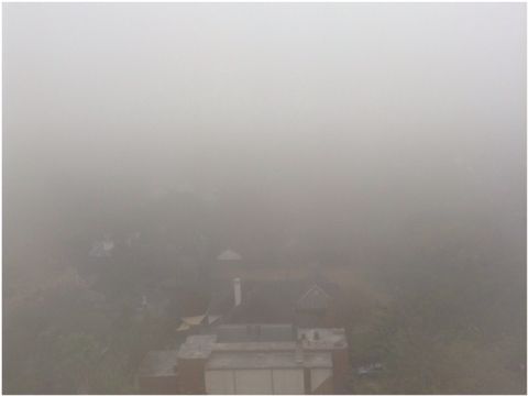 e0210347_119042.jpg