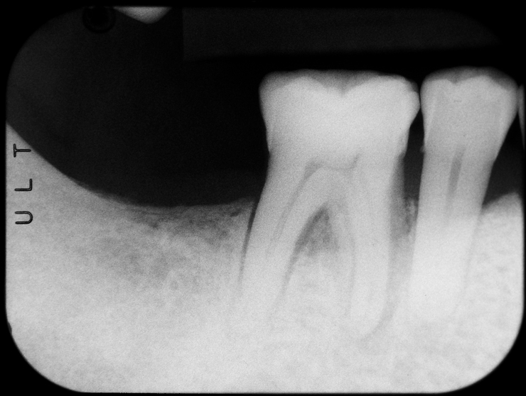 b0112648_0261174.jpg