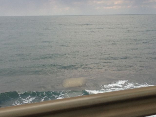 c0254151_18441340.jpg