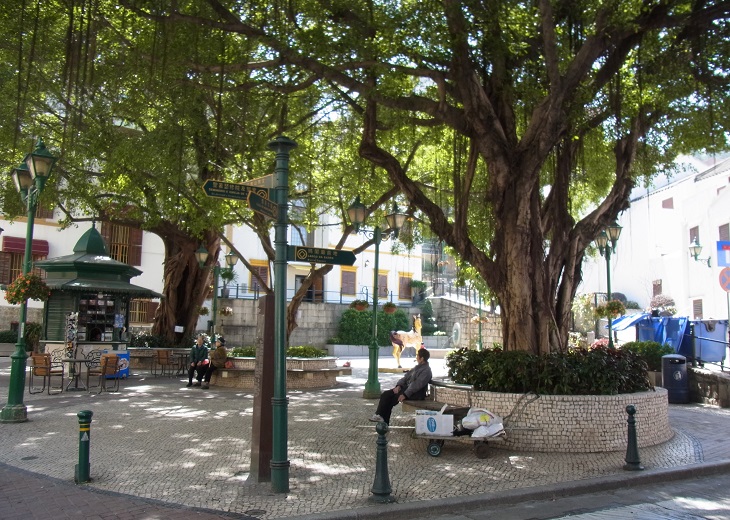 c0164052_10435696.jpg
