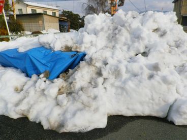 「あろうことか・・・！」に立ち向かう雪かき道具_e0137353_18392572.jpg