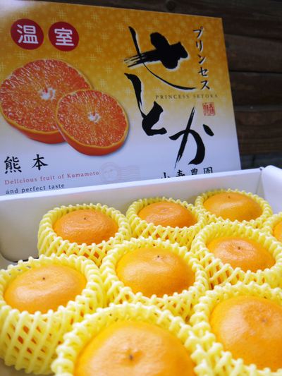 ここでしか買えない柑橘大特集!! 柑橘王「デコポン」、究極の柑橘「せとか」、幻の柑橘「麗紅」_a0254656_19333346.jpg