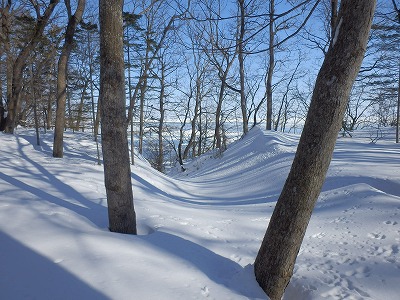 e0004756_1950579.jpg