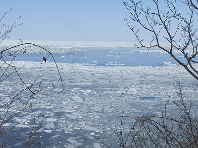 e0004756_19523952.jpg