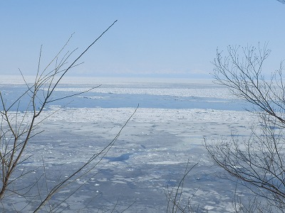 e0004756_2075749.jpg