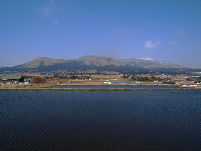 a0260570_10546.jpg