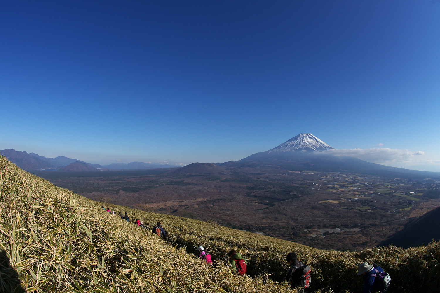 b0320171_20490614.jpg