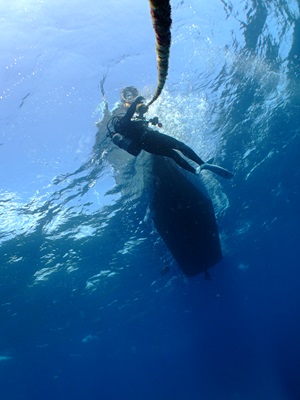 「いい天気だぜ~!!」_b0033573_17103639.jpg