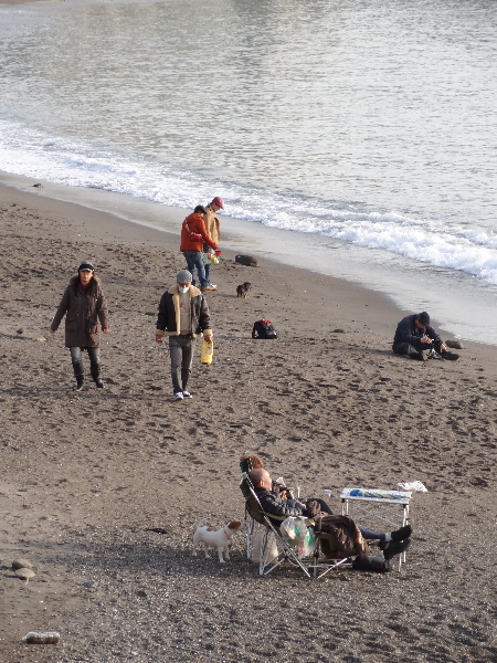 「冬でもビーサン！　葉山・冬の海の楽しみ方」２／２１放送「ちょっとリュクスな湘南散歩」_f0278974_12252511.jpg