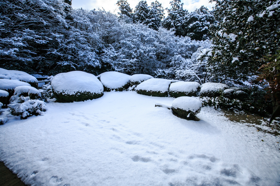 雪景色！　～詩仙堂～_b0128581_20414296.jpg