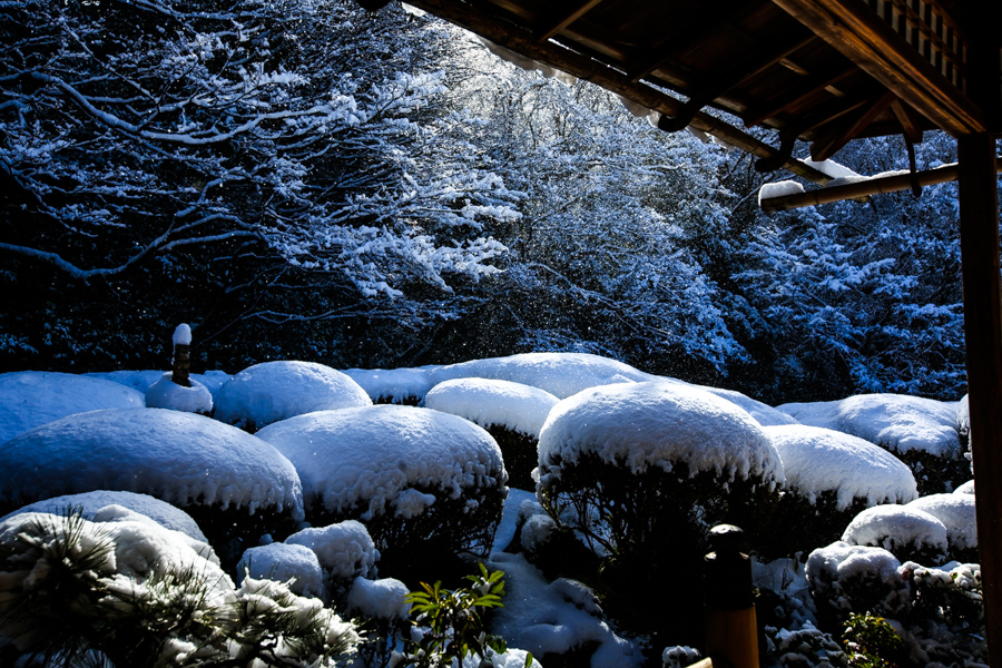 雪景色！　～詩仙堂～_b0128581_20415548.jpg