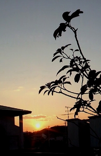 c0229483_10295115.jpg
