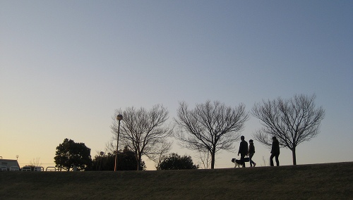 何時もの散歩道　夕暮れ_c0229483_8424519.jpg