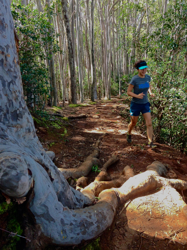 2014/01/22 Mountain Running Trip in Oahu of Hawaii Day.6 Aiea Loop Trail_b0220886_1020155.jpg