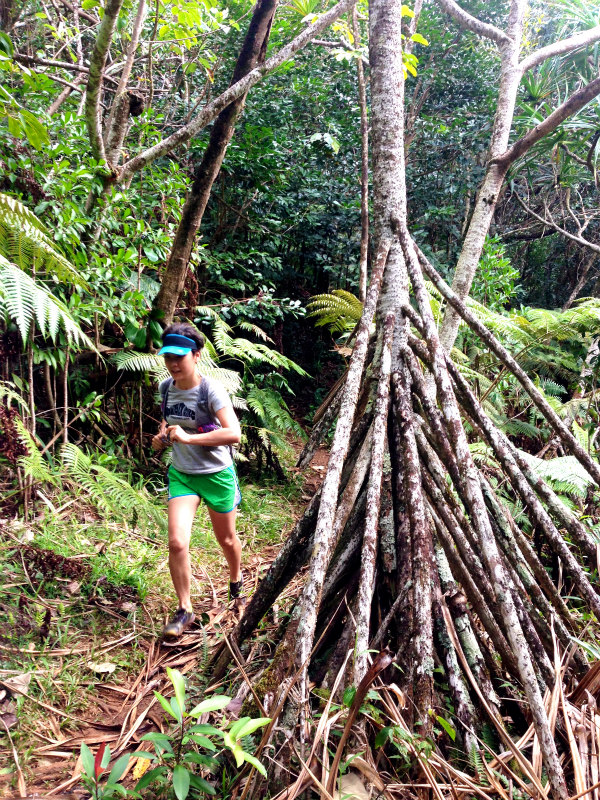 2014/01/23 Mountain Running Trip in Oahu of Hawaii Day.7  Nakoa Trail,Mt.Manamana_b0220886_14265541.jpg