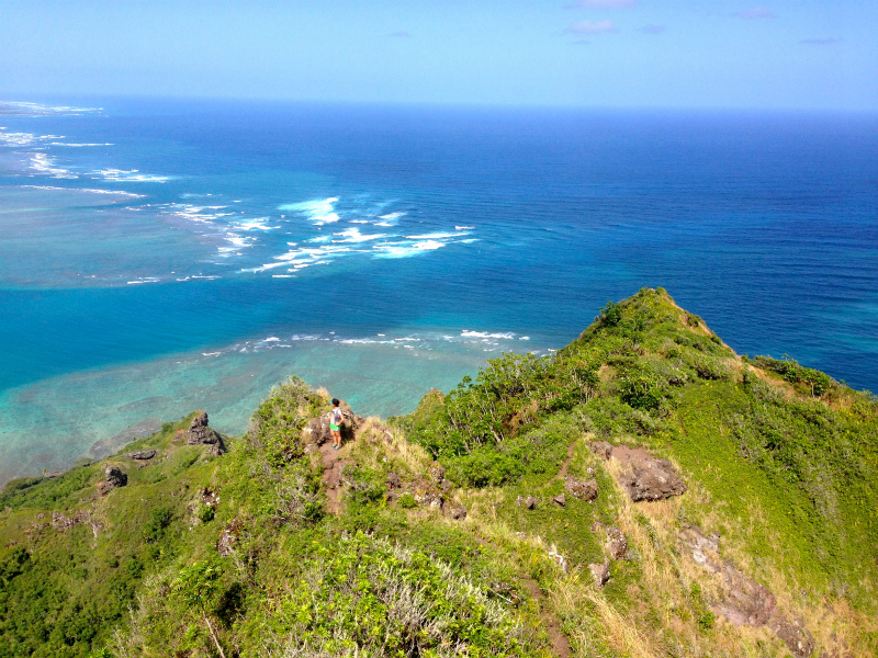 2014/01/23 Mountain Running Trip in Oahu of Hawaii Day.7  Nakoa Trail,Mt.Manamana_b0220886_15283327.jpg