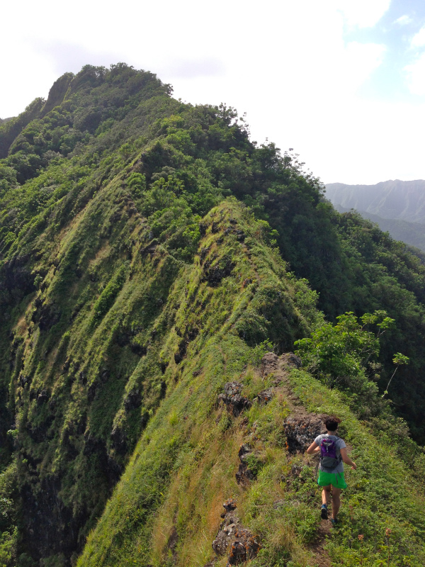 2014/01/23 Mountain Running Trip in Oahu of Hawaii Day.7  Nakoa Trail,Mt.Manamana_b0220886_15512892.jpg