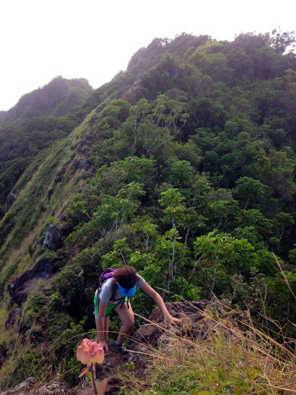 2014/01/23 Mountain Running Trip in Oahu of Hawaii Day.7  Nakoa Trail,Mt.Manamana_b0220886_1552972.jpg