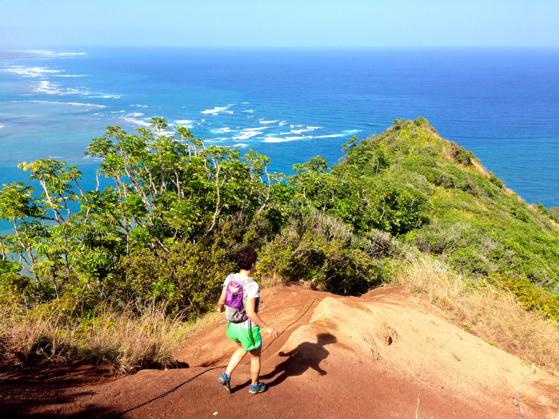 2014/01/23 Mountain Running Trip in Oahu of Hawaii Day.7  Nakoa Trail,Mt.Manamana_b0220886_15532096.jpg