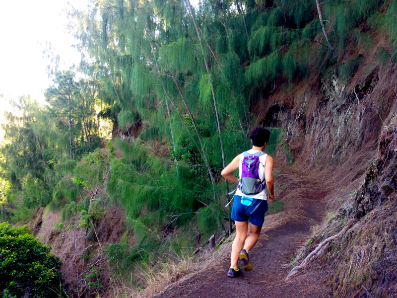 2014/01/24 Mountain Running Trip in Oahu of Hawaii Day.8 Kuaokala Ridge Trail_b0220886_171954100.jpg