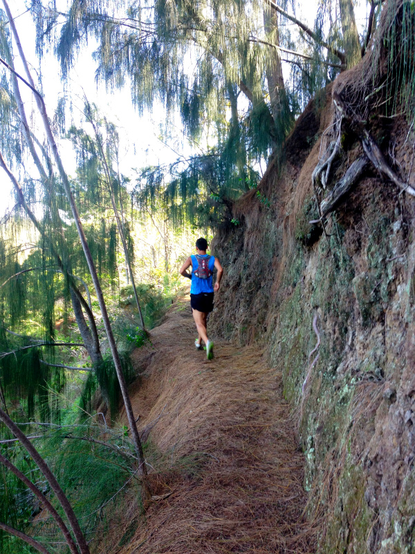 2014/01/24 Mountain Running Trip in Oahu of Hawaii Day.8 Kuaokala Ridge Trail_b0220886_172034.jpg