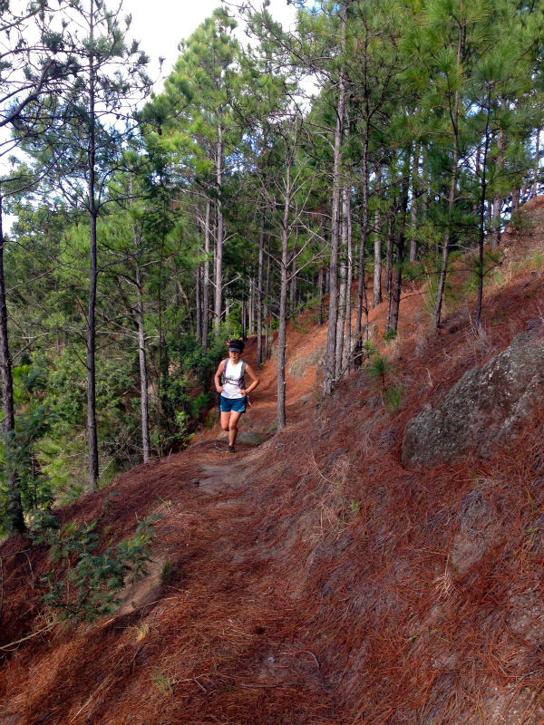 2014/01/24 Mountain Running Trip in Oahu of Hawaii Day.8 Kuaokala Ridge Trail_b0220886_17232188.jpg