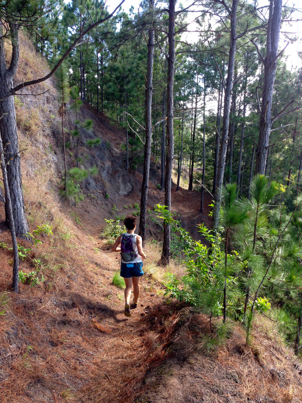 2014/01/24 Mountain Running Trip in Oahu of Hawaii Day.8 Kuaokala Ridge Trail_b0220886_17233011.jpg