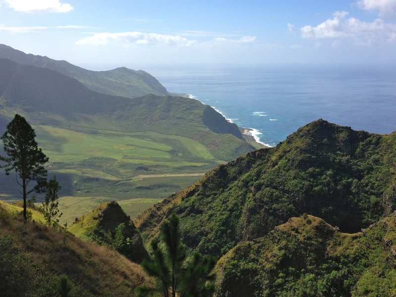 2014/01/24 Mountain Running Trip in Oahu of Hawaii Day.8 Kuaokala Ridge Trail_b0220886_17241993.jpg