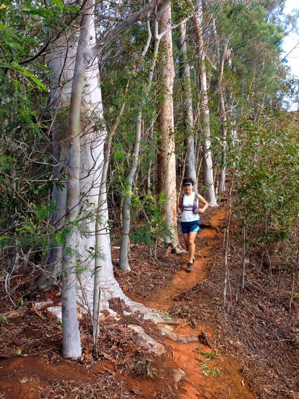 2014/01/24 Mountain Running Trip in Oahu of Hawaii Day.8 Kuaokala Ridge Trail_b0220886_17244338.jpg