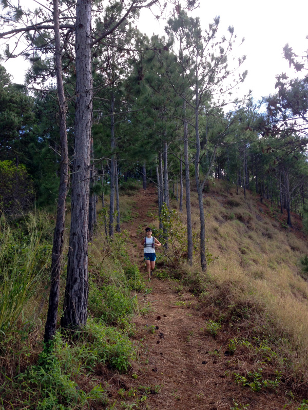 2014/01/24 Mountain Running Trip in Oahu of Hawaii Day.8 Kuaokala Ridge Trail_b0220886_17245380.jpg