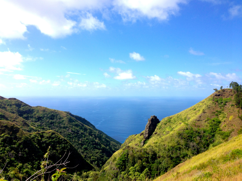 2014/01/24 Mountain Running Trip in Oahu of Hawaii Day.8 Kuaokala Ridge Trail_b0220886_17251560.jpg