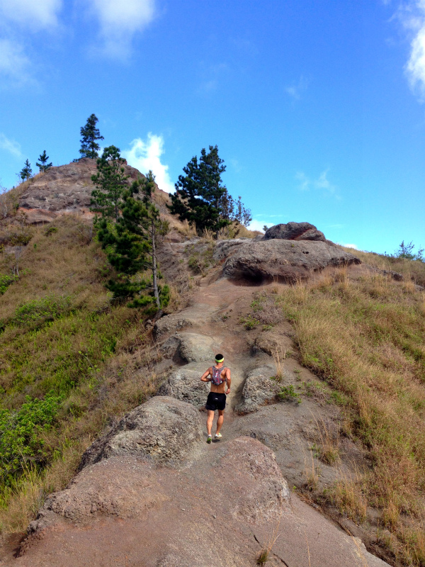 2014/01/24 Mountain Running Trip in Oahu of Hawaii Day.8 Kuaokala Ridge Trail_b0220886_17252719.jpg