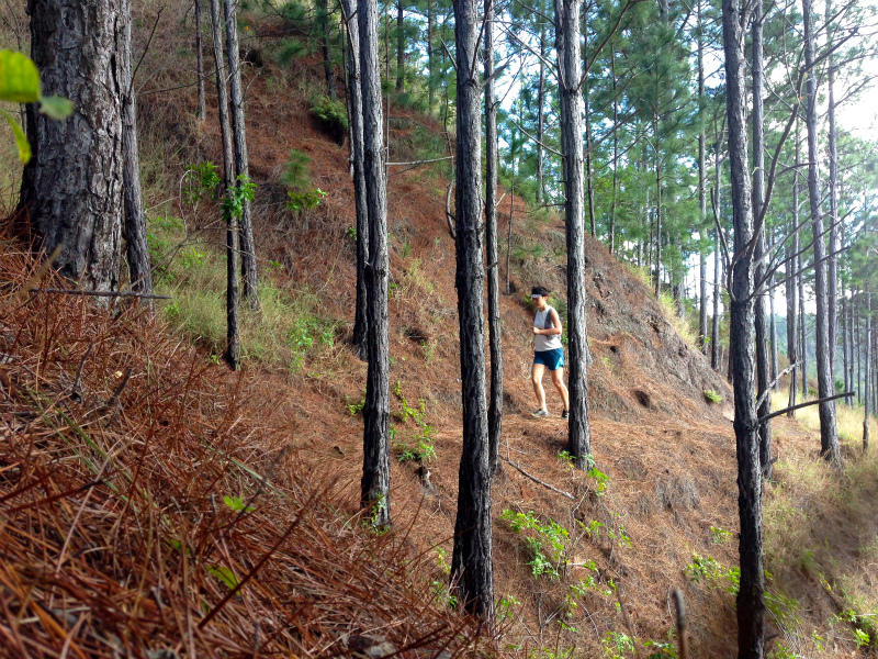 2014/01/24 Mountain Running Trip in Oahu of Hawaii Day.8 Kuaokala Ridge Trail_b0220886_17254221.jpg