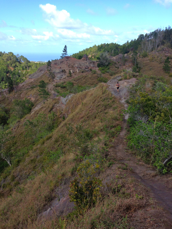 2014/01/24 Mountain Running Trip in Oahu of Hawaii Day.8 Kuaokala Ridge Trail_b0220886_172544.jpg