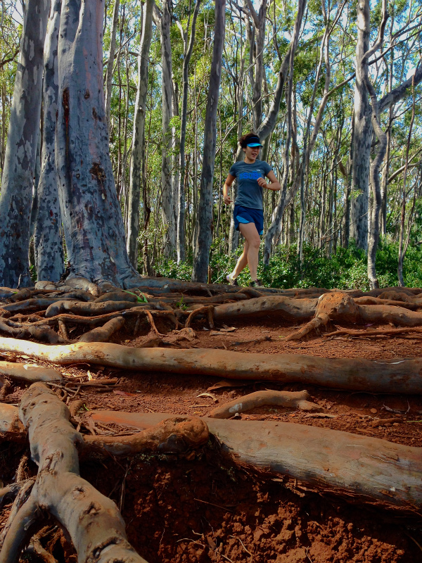2014/01/22 Mountain Running Trip in Oahu of Hawaii Day.6 Aiea Loop Trail_b0220886_9423021.jpg