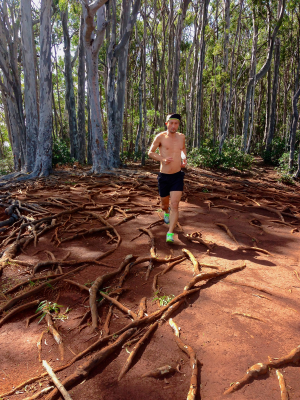 2014/01/22 Mountain Running Trip in Oahu of Hawaii Day.6 Aiea Loop Trail_b0220886_9555071.jpg