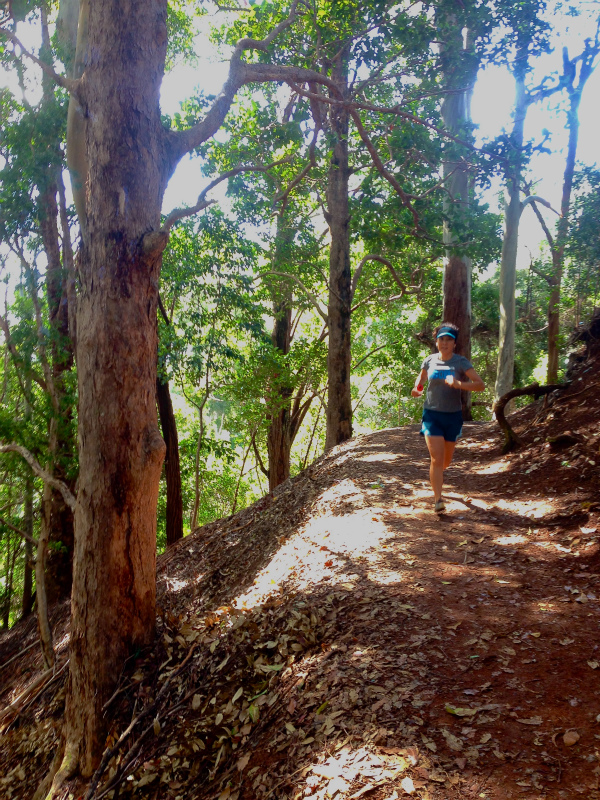 2014/01/22 Mountain Running Trip in Oahu of Hawaii Day.6 Aiea Loop Trail_b0220886_9555842.jpg
