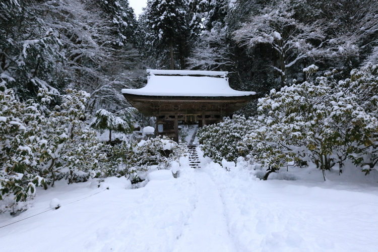 志明院_e0051888_6461139.jpg