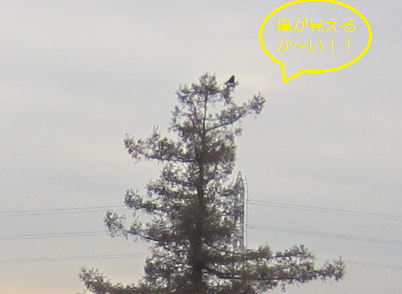 f0234590_1104831.png