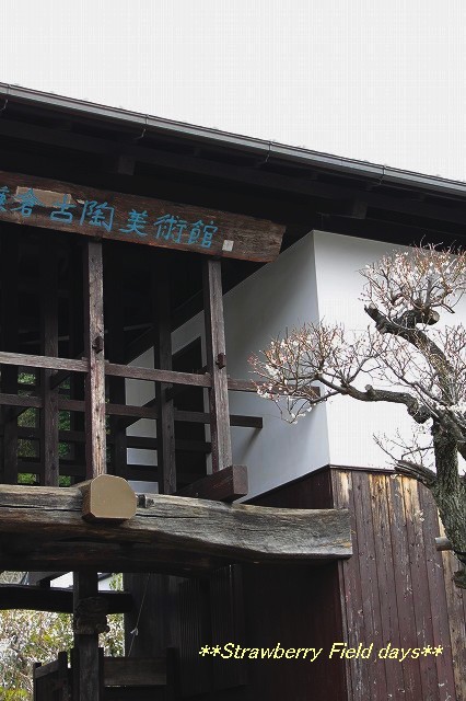 c0087094_1743385.jpg