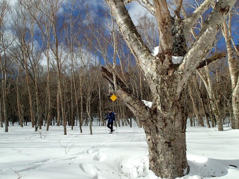 雪山歩き・・・２。_f0129994_1541773.jpg