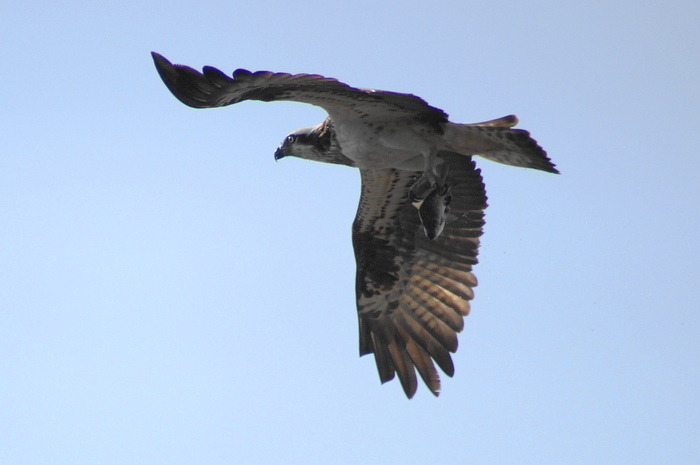 a0206496_405832.jpg