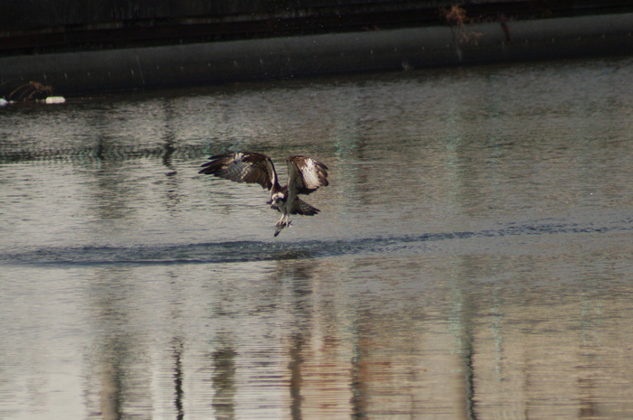 a0206496_4451459.jpg