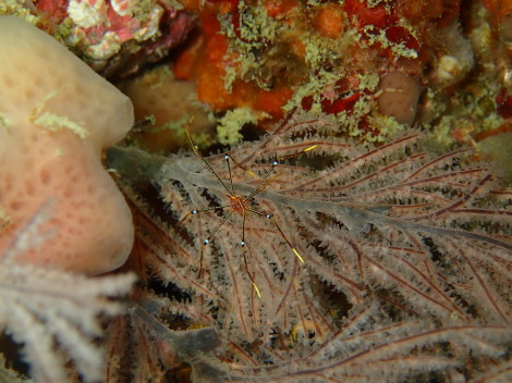 e0115199_19075837.jpg