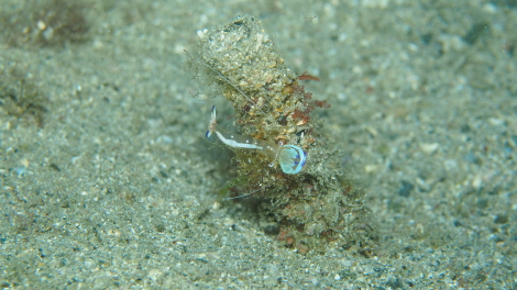 e0115199_20280446.jpg