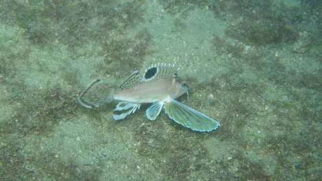 e0115199_20282185.jpg
